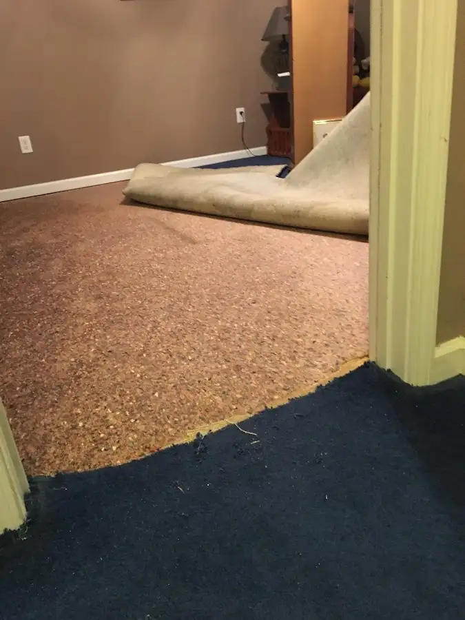 Carpet pad removal revealing water damage during Water Mitigation Services in Ghent