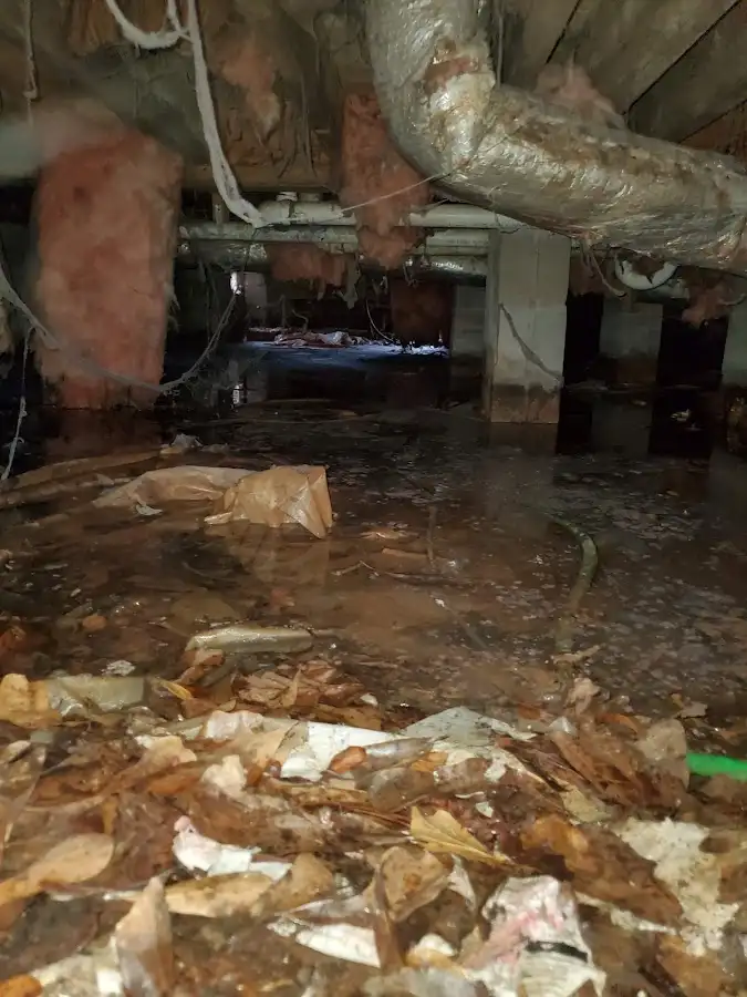 Crawl space flood assessment for Leak Detection & Repair in Ghent
