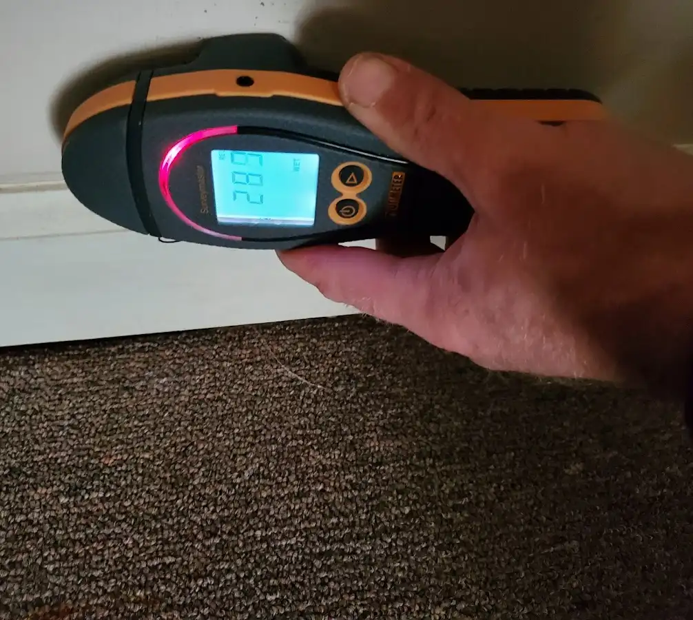 Moisture detection at baseboard during Sewage Cleanup & Sanitation in Ghent